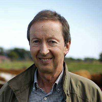 智能且便捷的免费DDOS攻击测试工具