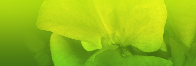 免费ddos平台攻击